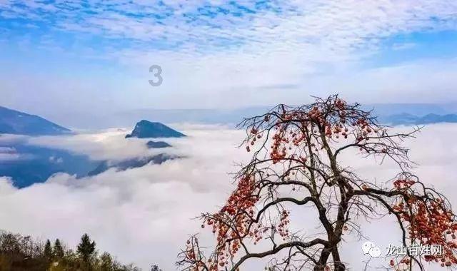 地铁：最后的曙光